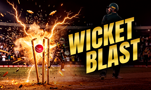 Wicket Blast cricket game artwork